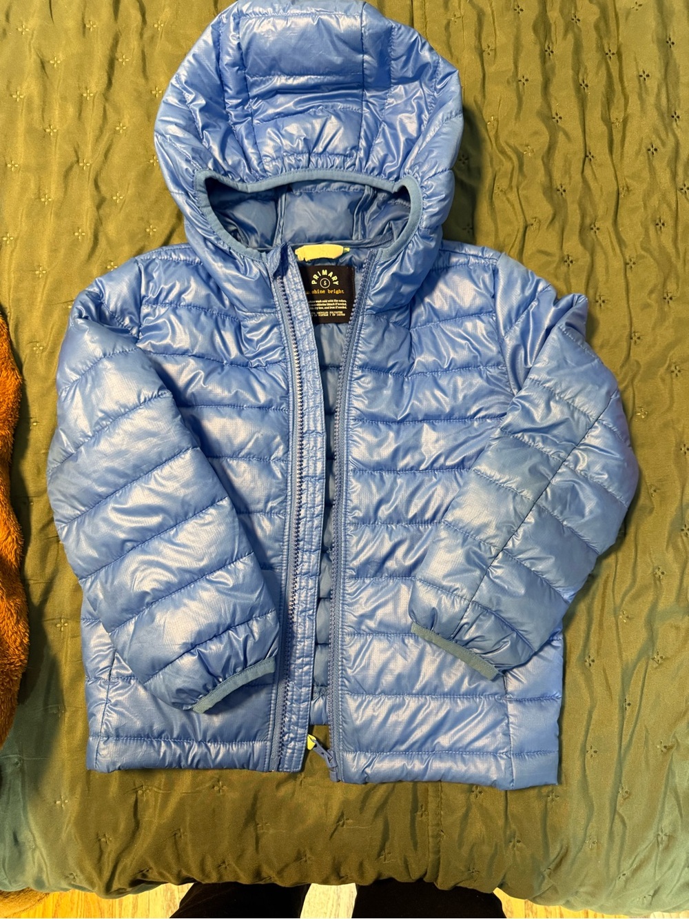 Primary Blue Hooded Puffer Jacket - Blue